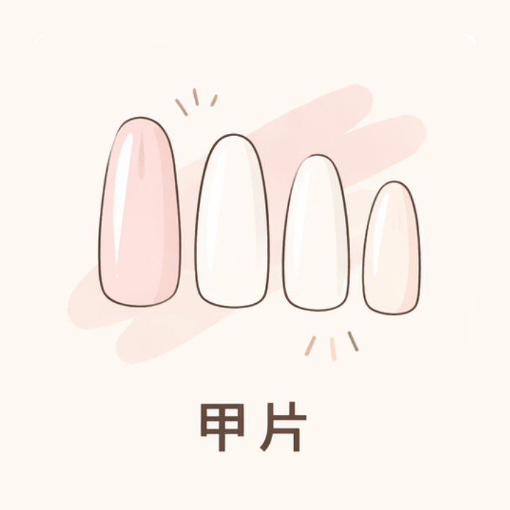 甲片