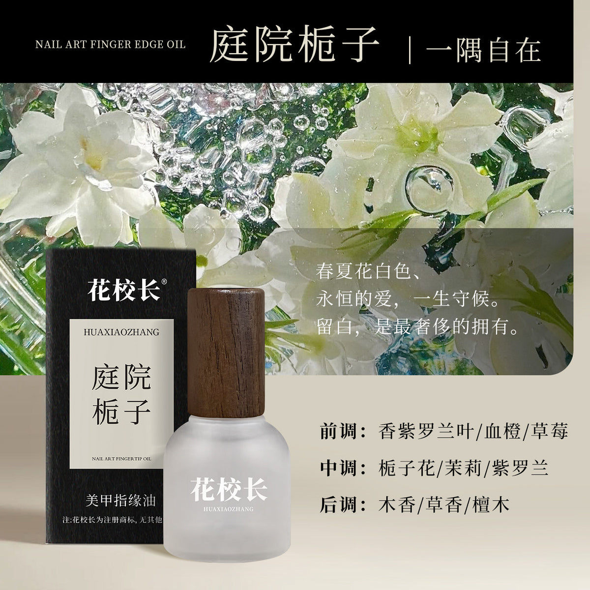 庭院桅子