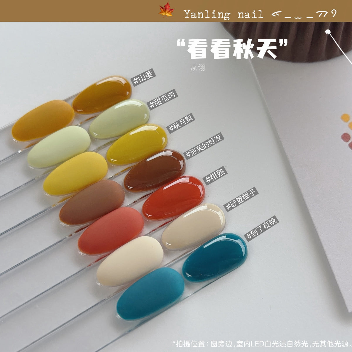 9月團購 - Yanling燕翎 - 看看秋天