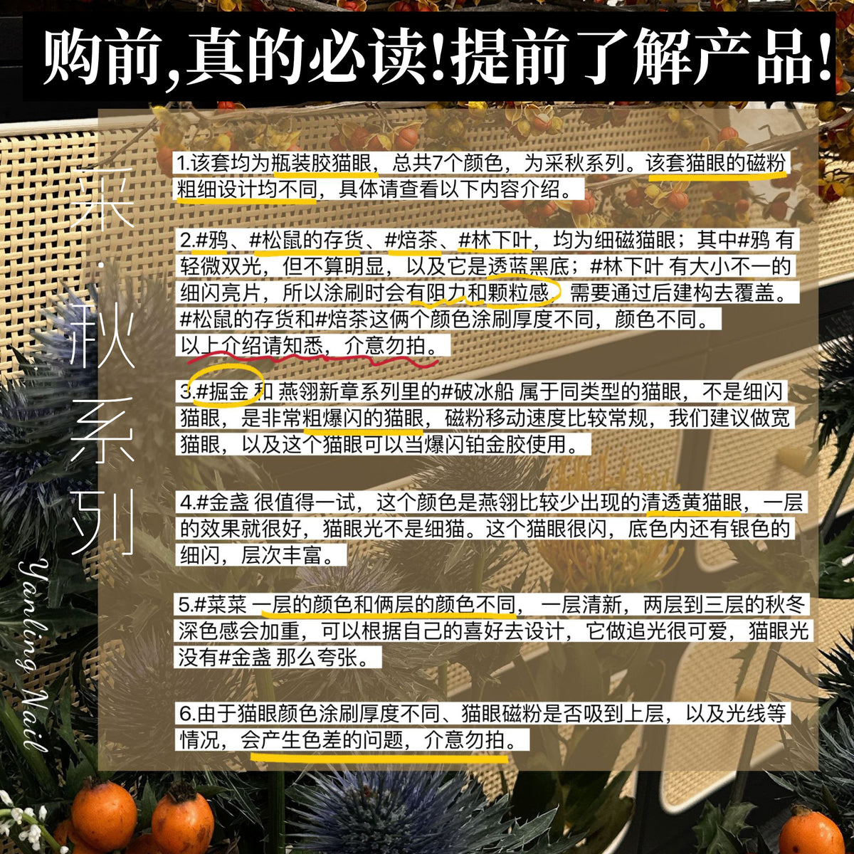 9月團購 - Yanling燕翎 - 采秋貓眼