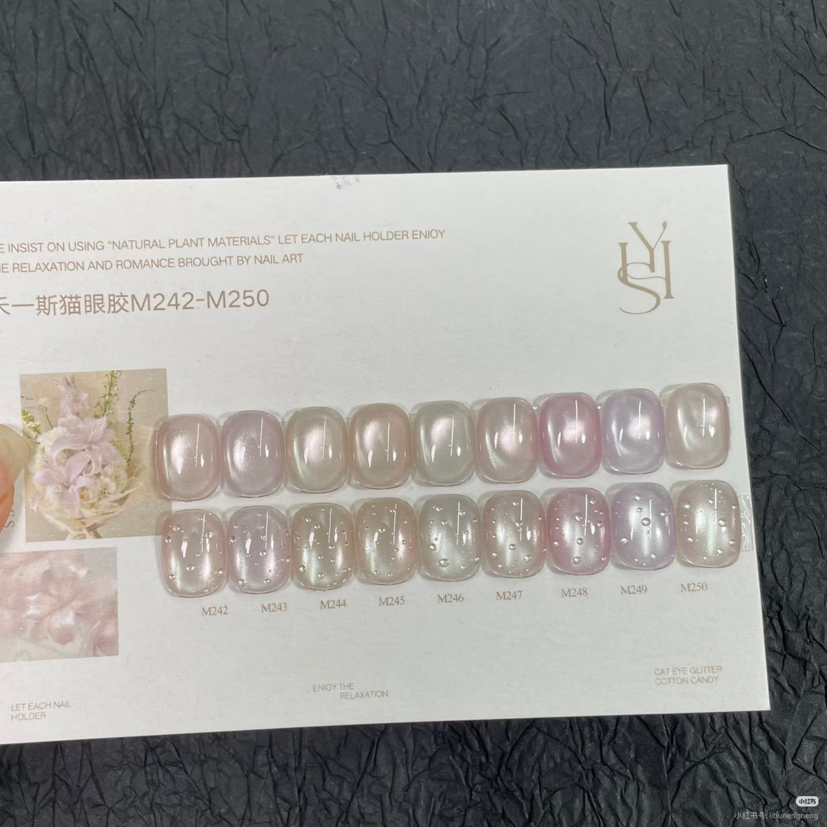 禾一斯KARRIES - 水光貓眼 M242-M250 - - Aria.D